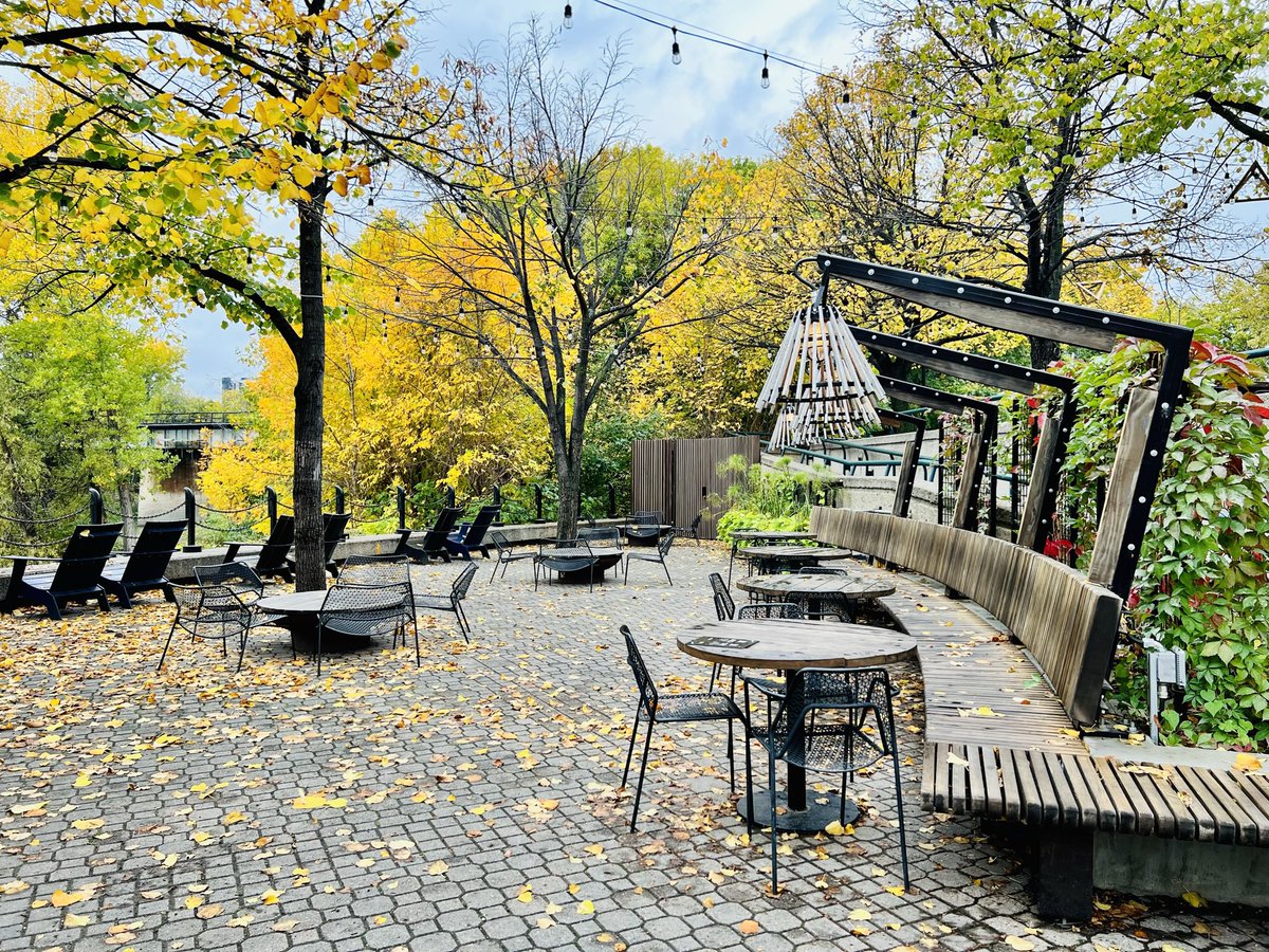 240 Tache tweet media