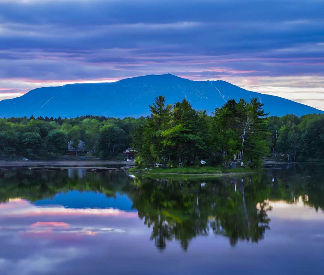 Marilyn Starkloff tweet media