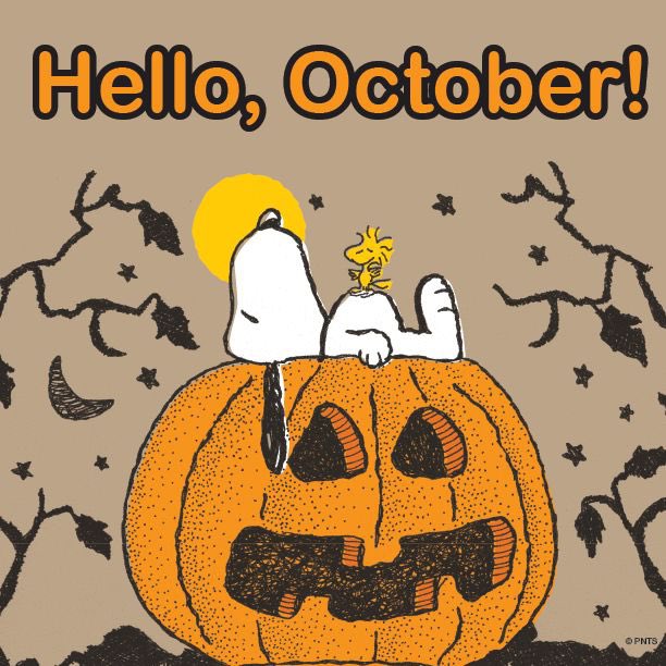 PeanutsNoCont's tweet photo. Snoopy of the Day

Happy October 🍂 https://t.co/Kxc4vpoA6W