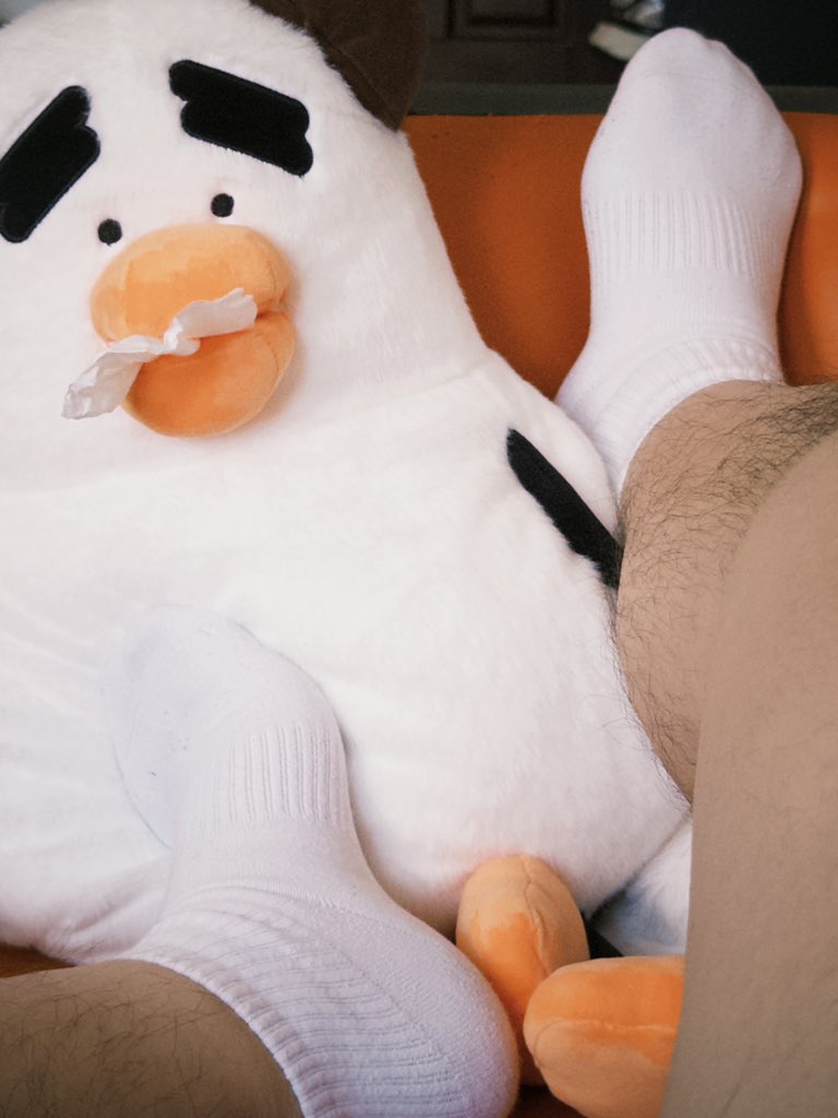 办一目 tweet media