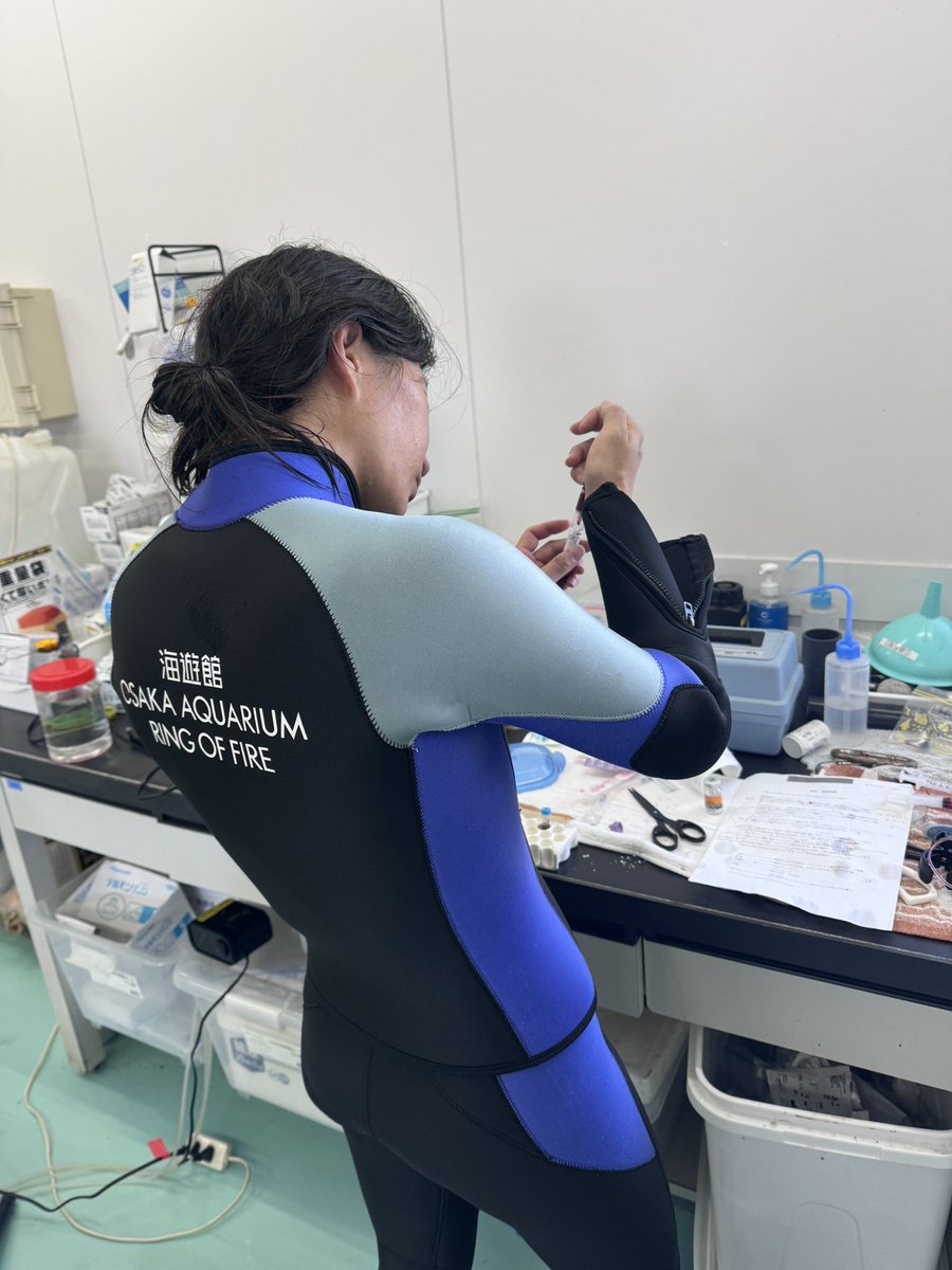 大阪・海遊館 tweet media