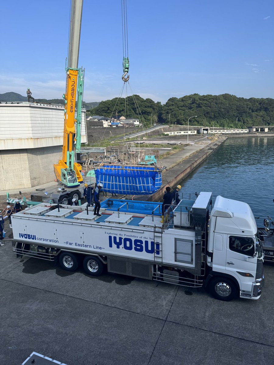 大阪・海遊館 tweet media