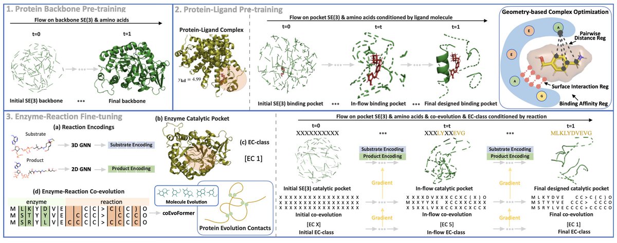 EnzymeFlow: Reaction-conditioned Enzyme Catalytic Pocket Design

1/ 🚀 Introducing EnzymeFlow - a revolutionary generative model designed to create enzyme catalytic pockets tailored for specific reactions. This breakthrough could significantly impact biotechnology, synthetic