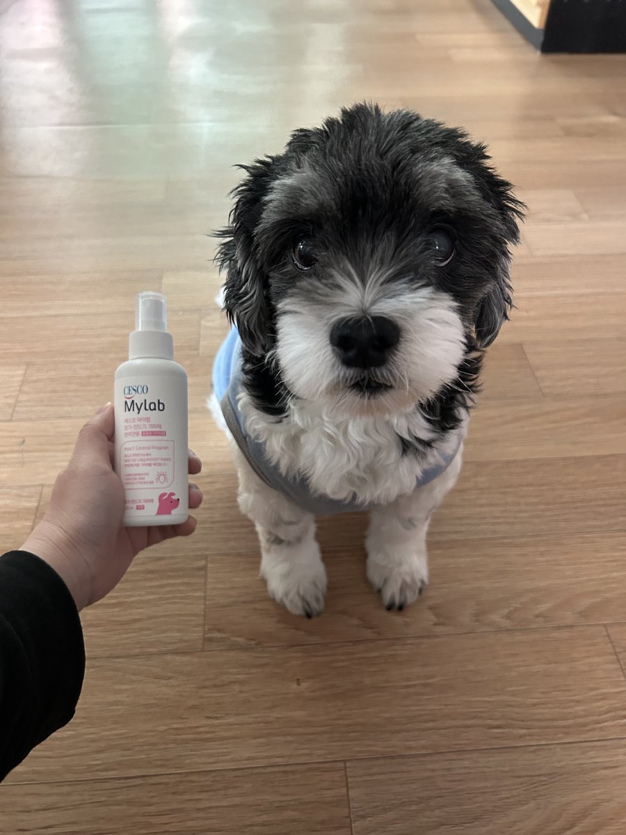 저번에 세스코 이벤트 당첨된 거 왔다!!!!!!