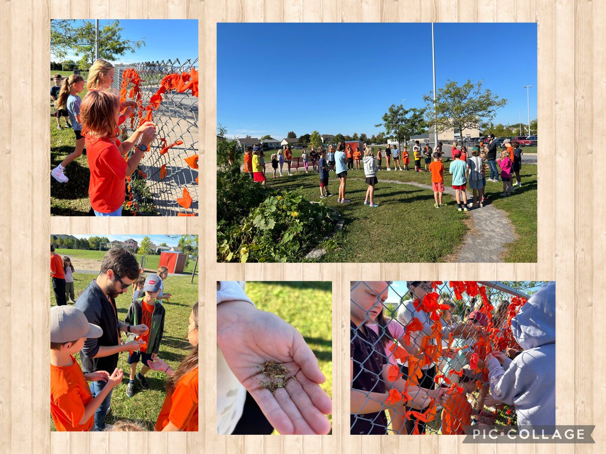 Madame Louise (@louise17adam) on Twitter photo Meeting up with our buddies for recognition of the orange t-shirt day. Adding more orange material to the heart. Come and see it, it’s filled with love. <a href="/mr_hulse/">Evan Hulse</a> <a href="/EcoleMaple_LDSB/">École Maple Elementary School</a> Meeting up with our buddies for recognition of the orange t-shirt day. Adding more orange material to the heart. Come and see it, it’s filled with love. <a href="/mr_hulse/">Evan Hulse</a> <a href="/EcoleMaple_LDSB/">École Maple Elementary School</a>