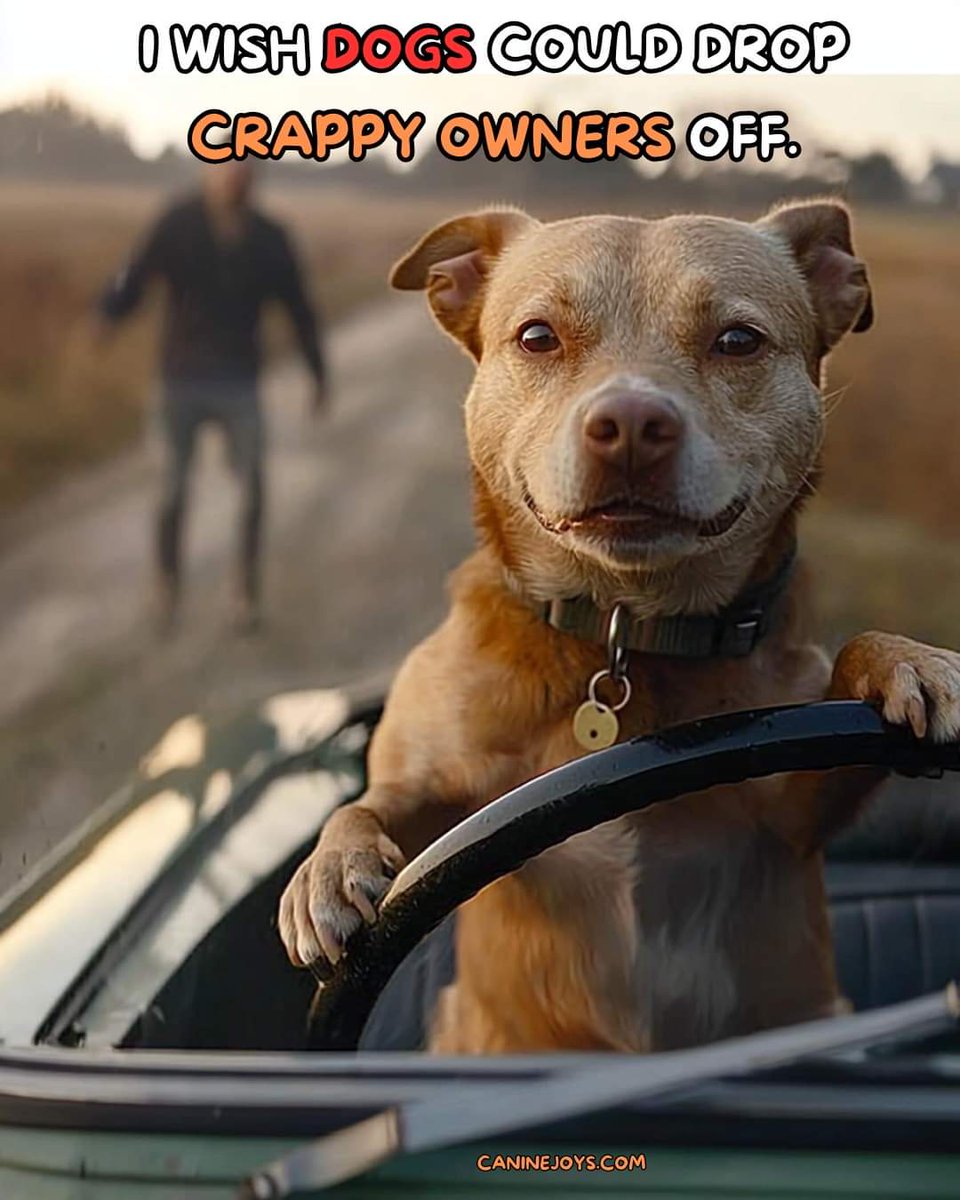 abby12345679v's tweet photo. 👍🐕 💯 https://t.co/wlqoTEx5Ts