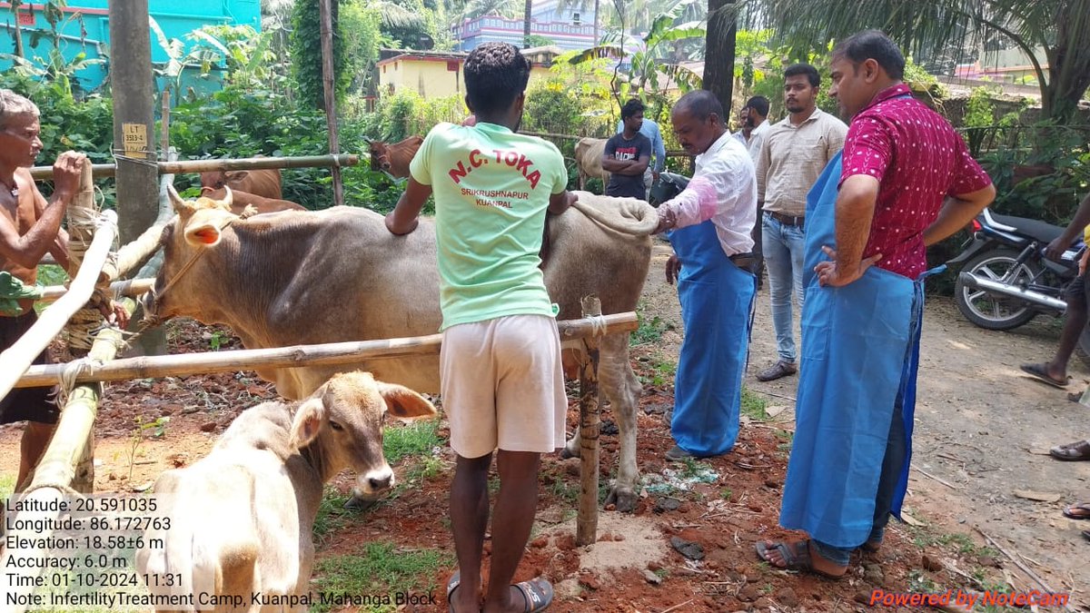 Odisha Veterinary Service Association CUTTACK tweet media