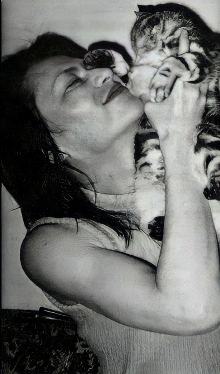 3rdEyeOfAMoth's tweet photo. @BazzarHussar Found on Pinterest! I admire that he was allergic to cats and still had them😭❤️ https://t.co/DpWrOppUHP