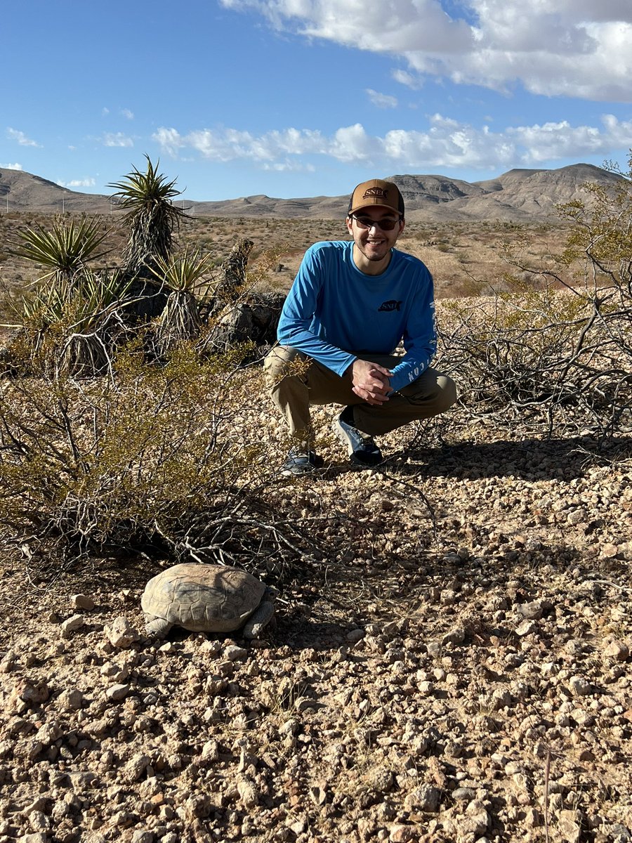 SNEIBiological's tweet photo. Welcome to the team, Roman! During training, our biologists undergo classroom training and gain hands-on experience in the field! Over the last few weeks, we found lots of tortoises and even a badger!…. 🐢

#DesertTortoiseWeek #deserttortoise #wildlifeconservation https://t.co/yUZs4cgadf