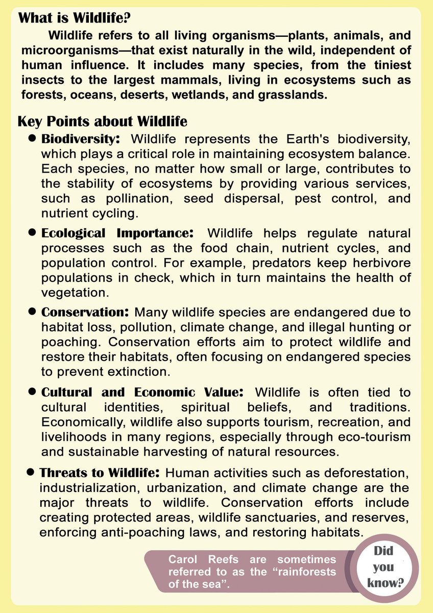 EiacpNagaland's tweet photo. World Wildlife Week
Date: 2nd October to 8th October 2024

Theme: "Wildlife Conservation Through Coexistence"

#WorldWildlifeWeek #Wildlife #flora #fauna #biodiversity #fyp #EIACP https://t.co/ynklI74TUa