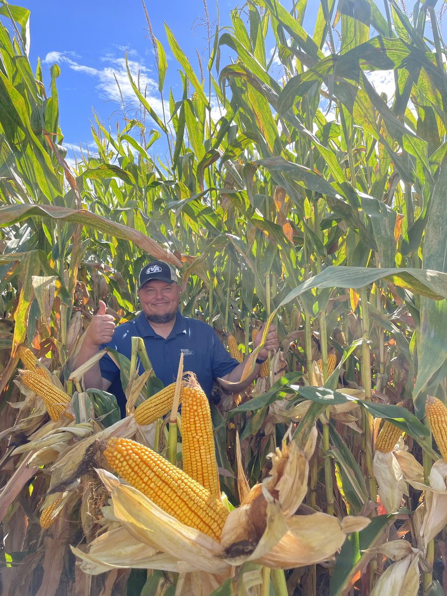 B10H24 is the real deal! <a href="/BrevantseedsUS/">Brevant seeds U.S.</a> <a href="/CentralValleyAg/">Central Valley Ag</a> #shesabeut #NebraskaCorn #winwithbrevant.