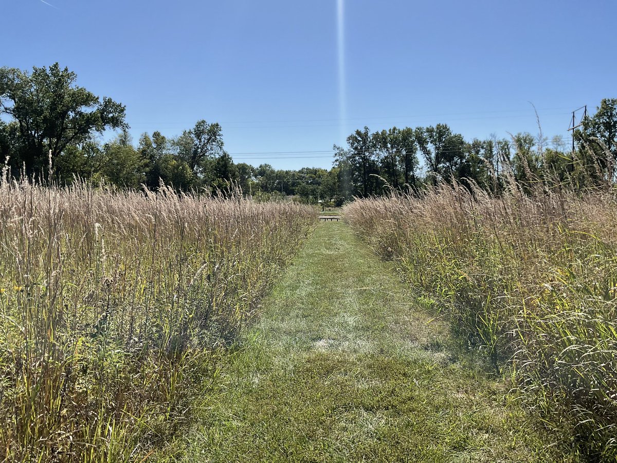 Mini Ag Week! We clean up our pumpkin/corn field. Ss harvested what was left and worked to clean up the field. We went to corn fest and tried so many corn treats made by our 5th graders, and finished the day with fishing. #cpsbest #prairieproud