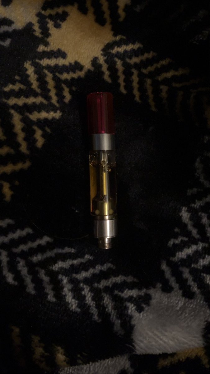 LizzyIsLosing's tweet image. We are so back