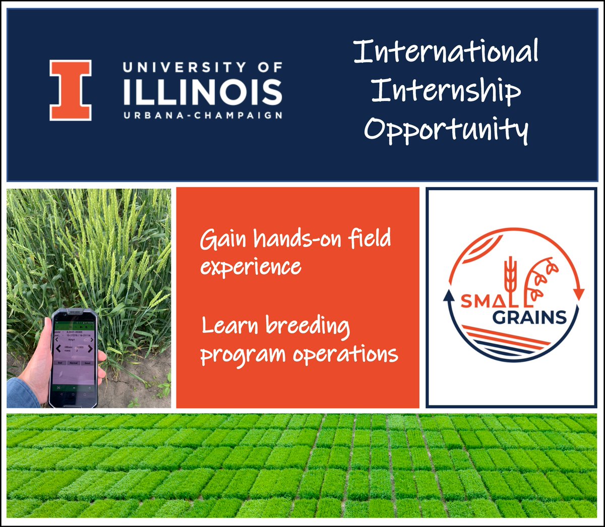I am happy to announce that we will be offering internship positions again for 2025.

For more information and for a link to the application form please visit: smallgrains.web.illinois.edu/wp/join-us/

(Note: Applications sent via email or direct message will not be accepted.)