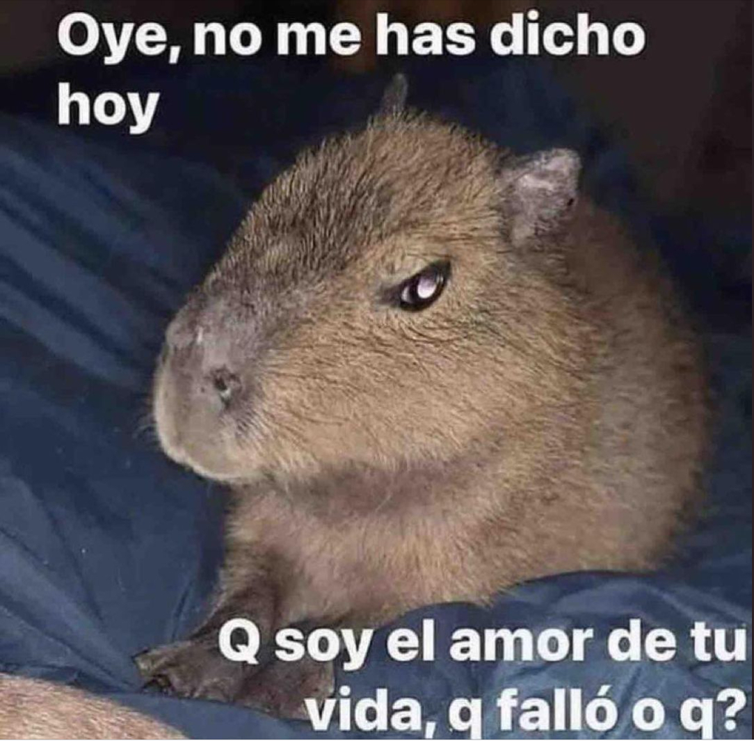 Guarromantico_'s tweet photo. q falló? https://t.co/zeyvwcbBoR