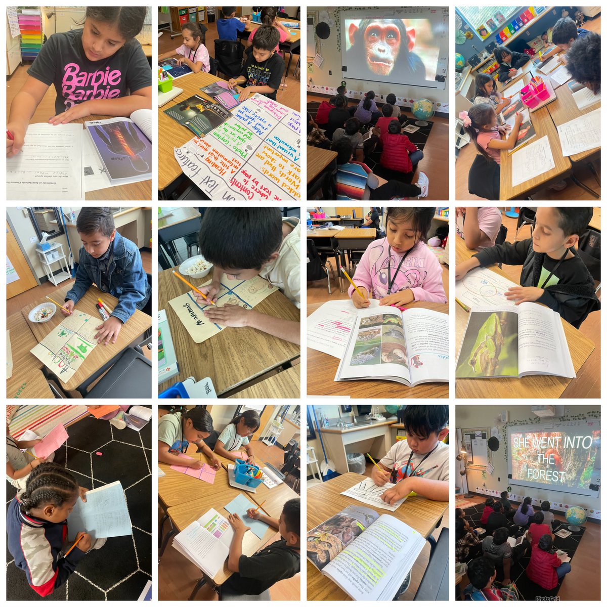 Here’s a little glimpse of how invested our 3rd grade stallions <a href="/AudeliaCreekES/">AudeliaCreekES</a> have been🥹❤️ HQIM allowed us to deepen our understanding of nonfiction text features and think critically about our reading! #HustleandHeart #RISDrla #RISDMET #HQIMinRISD <a href="/SaDye21/">Sarah Dye</a> <a href="/mechellesmith/">Mechelle</a>