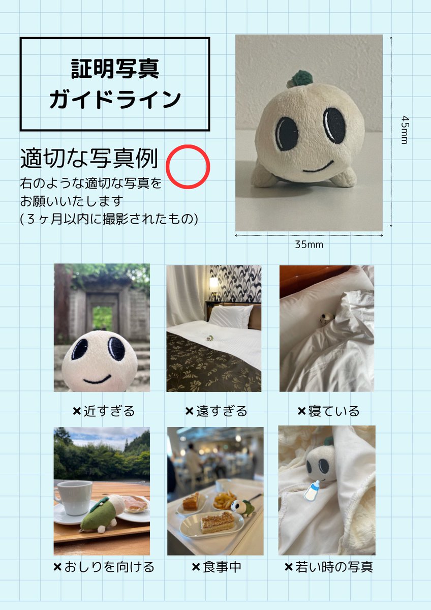 乳酸菌 tweet media