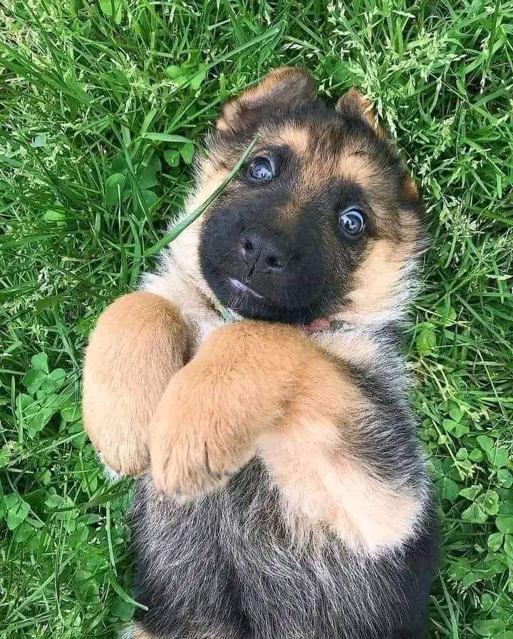 ropemarks Bob | RopeMarks @RopeMarks - Twitter Profile | Sotwe