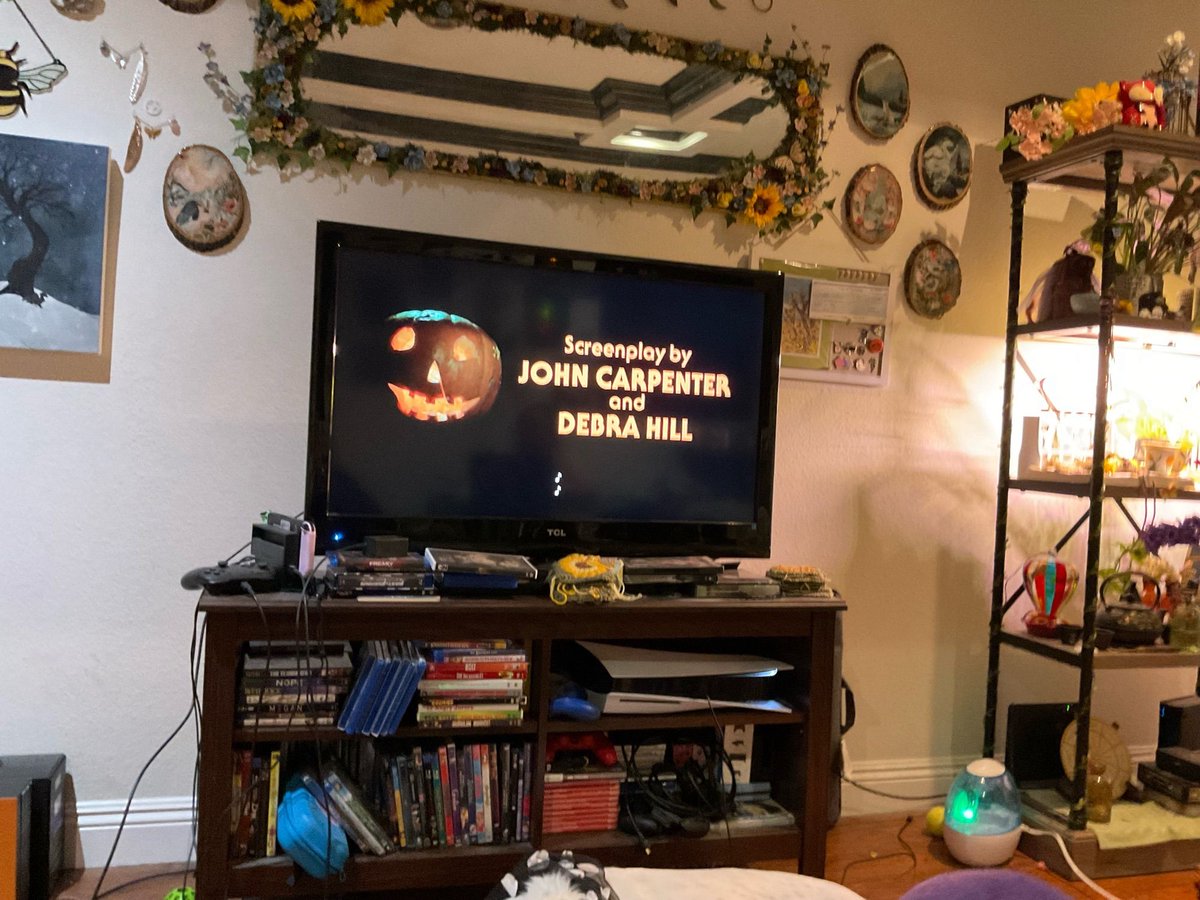 🌻 It's Bree! 🌻 tweet media