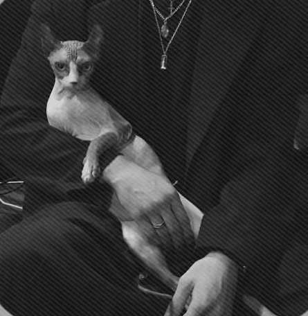 空缺奴婢一只，还在苦等夫主的诫女们可以来私信了，主动才有故事。
来找夫主之前先自省：
➡️想做奴婢的妳，只是几天的发情口嗨，还是坚定认可男尊女卑并向往实践？
未成年勿扰🔞
#女德 #男尊女卑 #女m #女诫 #女训 #女德教育 #夫主