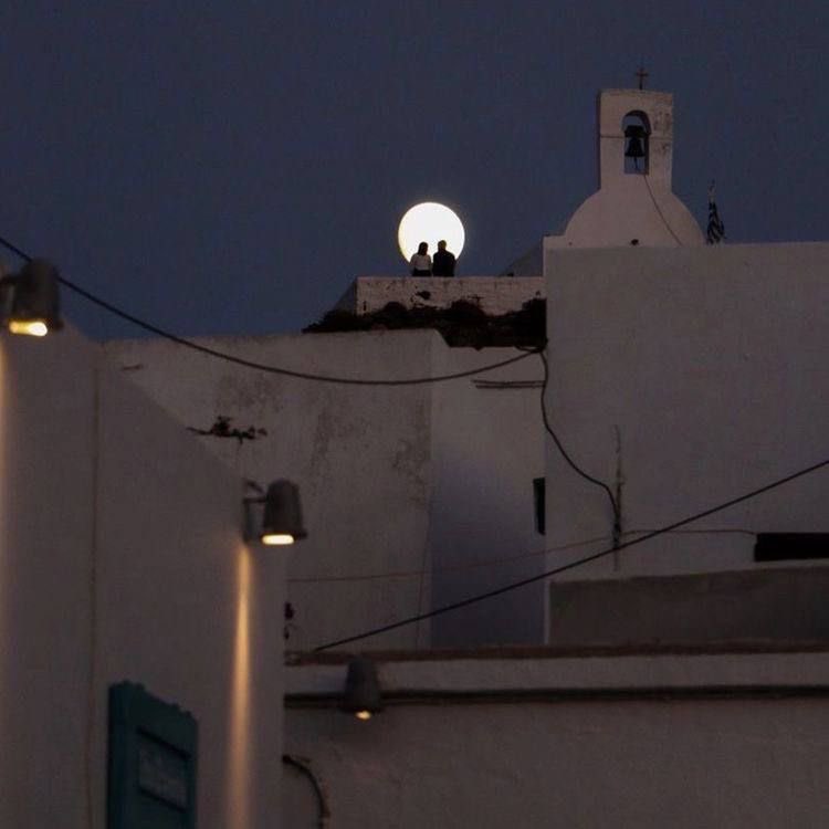 MOON tweet media