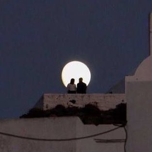 MOON tweet media