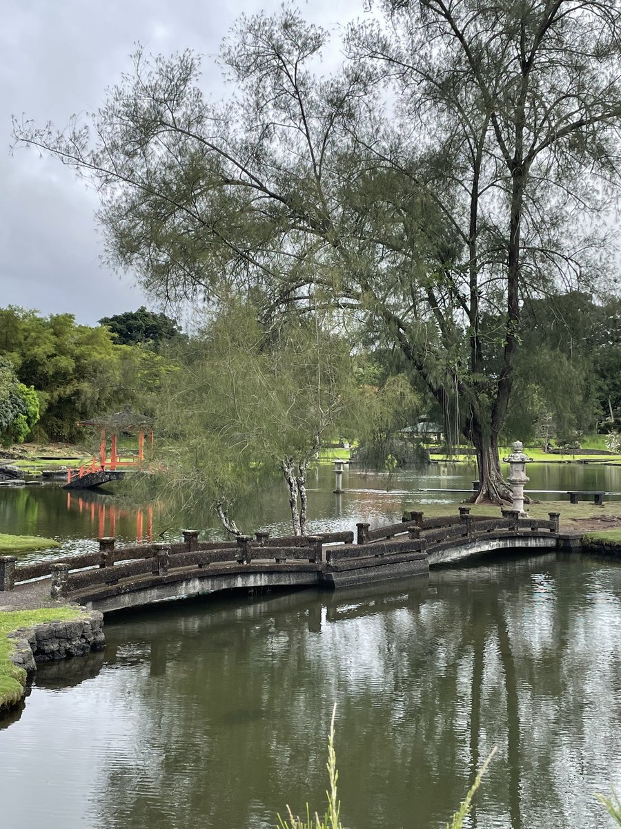 SylvieDahl's tweet photo. Walk in the park on a cloudy afternoon #serenity #Hilo #Hawaii #momentofzen https://t.co/3I3RnW0WIb
