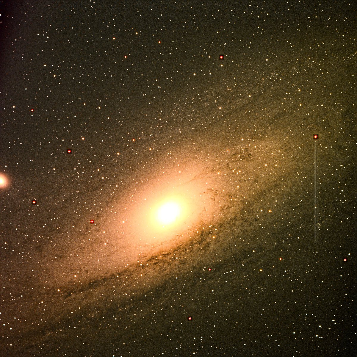 Scuba2doCarro's tweet photo. Wanted to revisit Andromeda (M31) with my new setup that I am still ironing out.  Photo was a 2 hour capture post processing done in Affinity. #Astrophotography #Evostar #Astronomy #Space https://t.co/rIM9TVqvTC