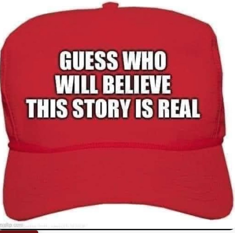 Massimo Basile 🍀 tweet media