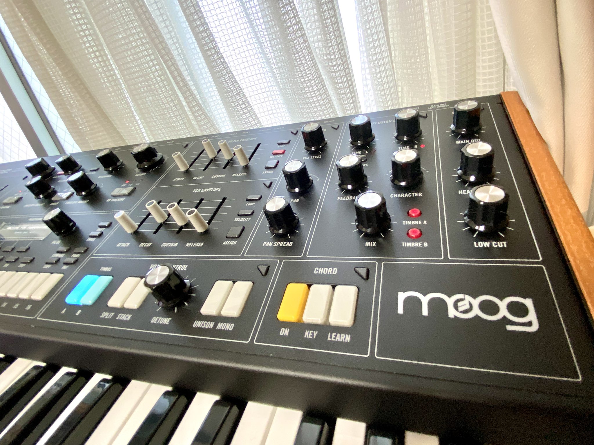 Moog JP (@MoogSynthJP) / X Moog JP (@MoogSynthJP) / X