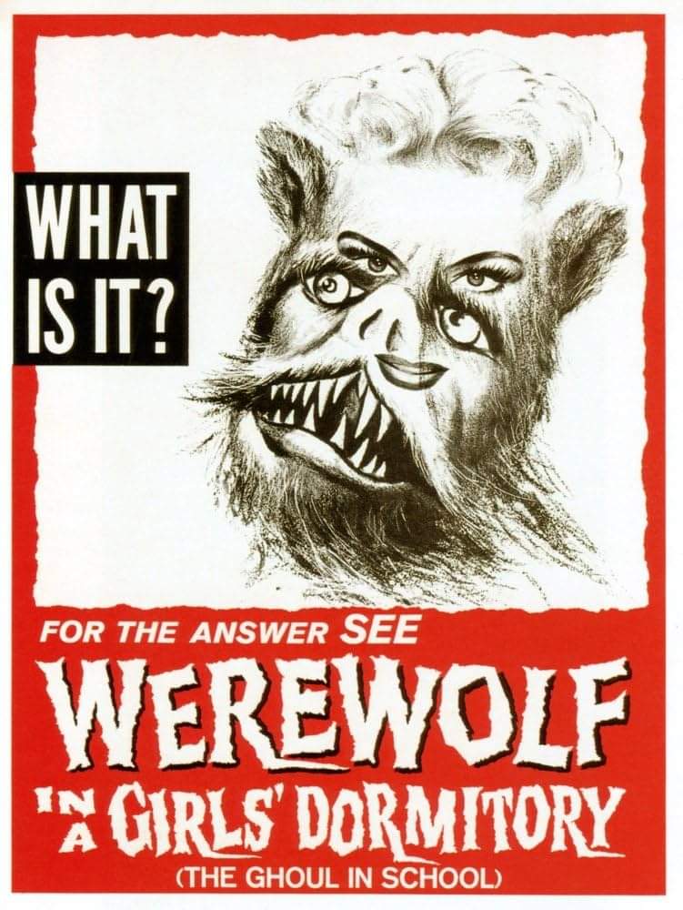 faye 🐇 karina tweet media