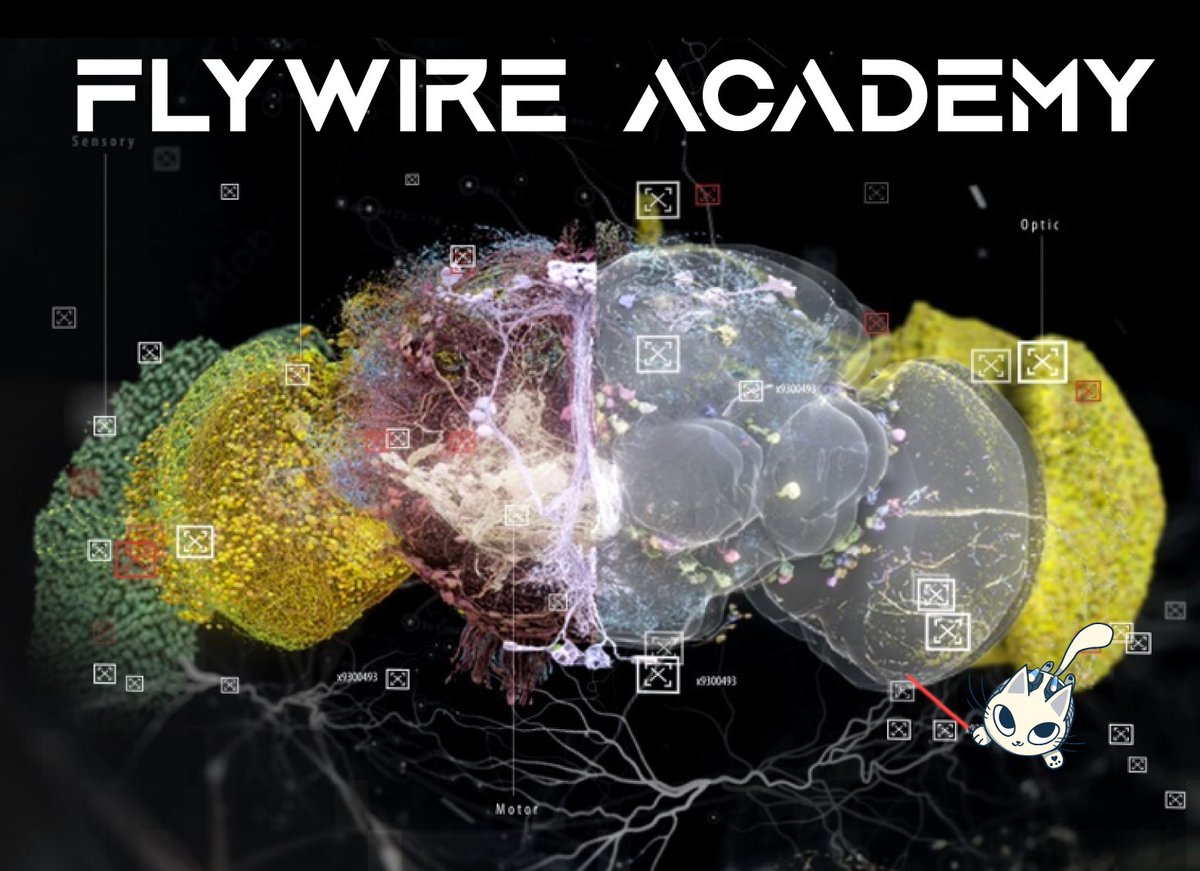 We are excited to share educational materials designed to bring FlyWire into classrooms! We have designed interactive lessons to be used by high school and college teachers, instructors, or scientists doing outreach. Check it out: codex.flywire.ai/academy_home 
Image by <a href="/exp_perception/">Perception</a>