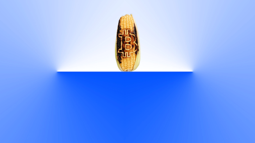Basedbitcorn's tweet photo. @base is corn fed. 

$BCORN 

https://t.co/ac8s8oLISC

#btc #eth #pepe #doge $toshi $brett $degen @apedotstore https://t.co/TUFALgs3N1