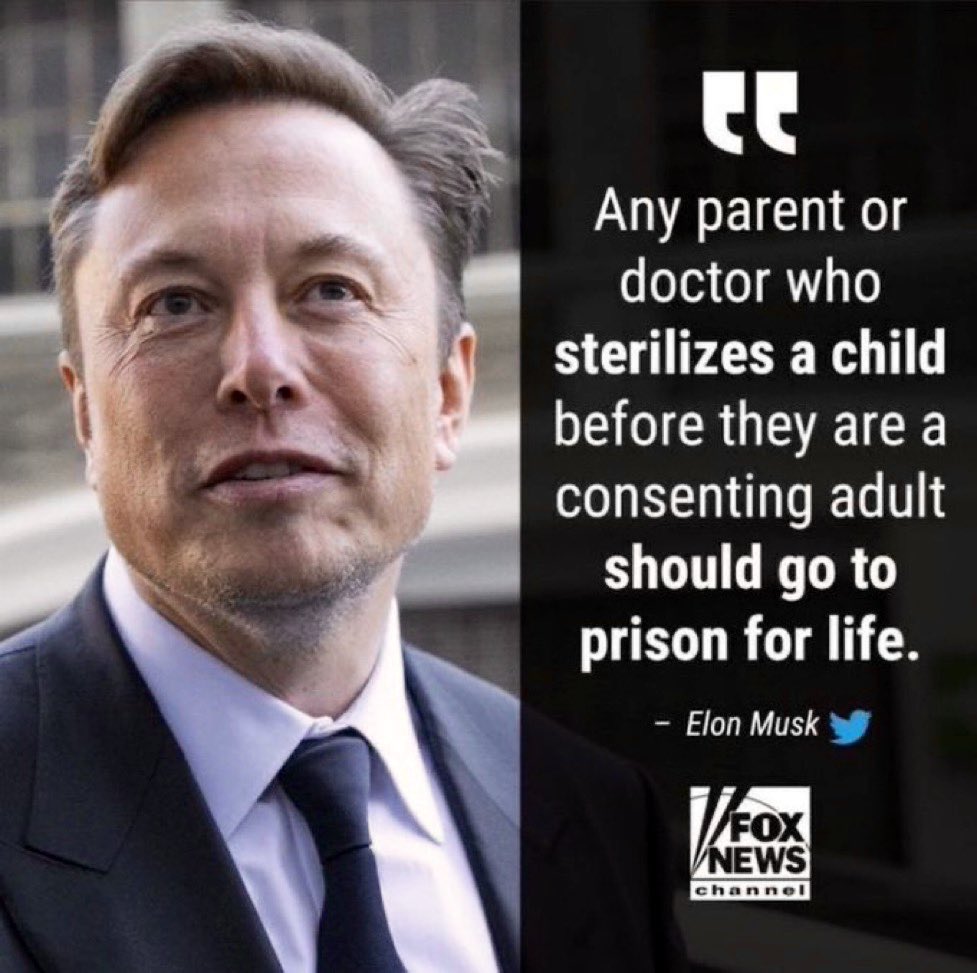 soursillypickle's tweet photo. @elonmusk Agree? https://t.co/CXVAXs4fpG