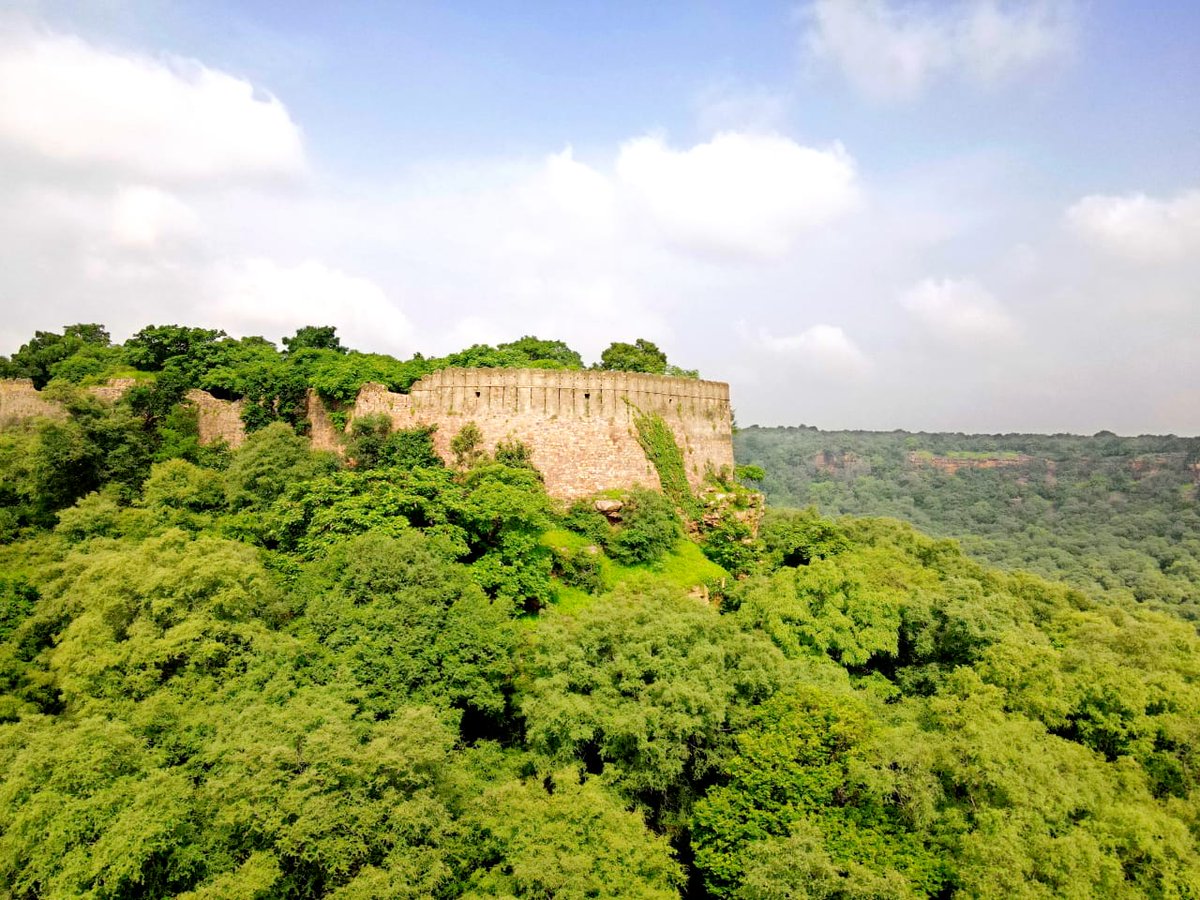 एक लाख पेड़ बचाने हैं…
मित्रो, एक बहुत ही हैरान करने वाली खबर आ रही है कि राजस्थान सरकार ने बारां जिले के शाहाबाद में एक पावर प्रोजेक्ट के लिए घने जंगल की 400 हैक्टेयर जमीन एक निजी कंपनी को दे दी है। यह जमीन एक घने जंगल की है और इस प्रोजेक्ट के लिए इस जमीन पर लगे एक लाख, 900