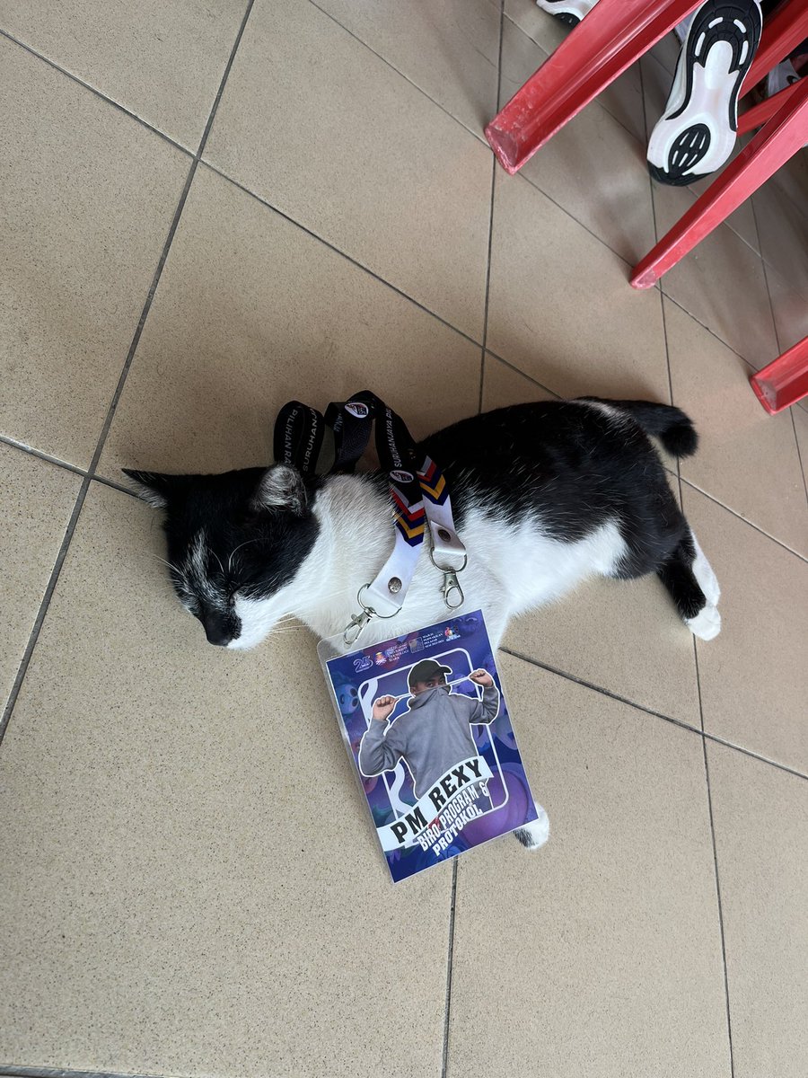 rex_dinosaurs's tweet photo. Penat betul Pemimpin MEOWsiswa. 
#palamberemosi 
#mdsinsideout
#xpresimds
#corememorymds https://t.co/crIwRMZDt5