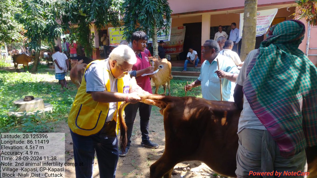 Odisha Veterinary Service Association CUTTACK tweet media