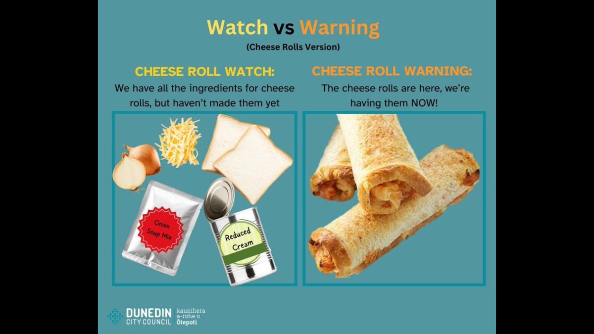 The Dunedin City Council just won the internet