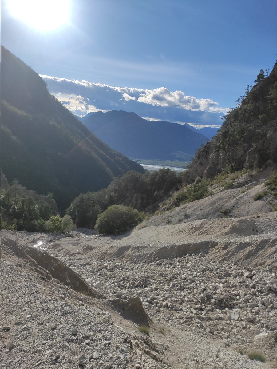 フラ -pesceriso- tweet media