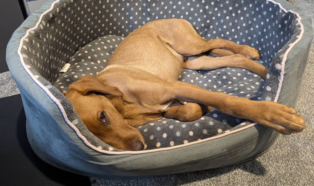 Lee Hunt tweet media