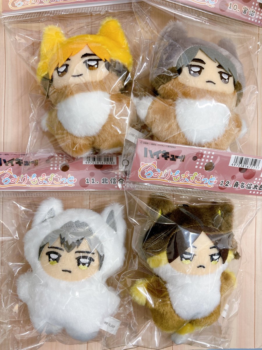 animateumeda's tweet photo. 【グッズ入荷情報】
「アニメ『ハイキュー!!』 ちみけもますこっと」が入荷致しました！
#hq_anime　#ハイキュー https://t.co/xc9YHP7j4A
