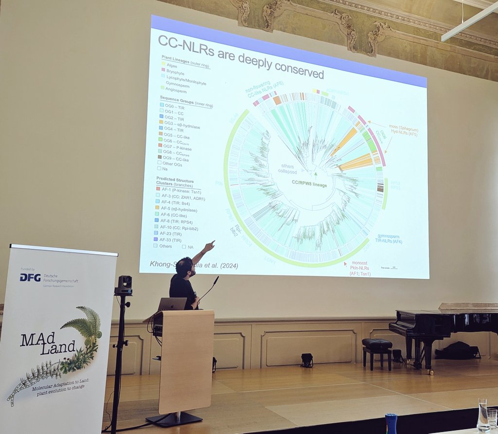 MadLand (@watertoland) on Twitter photo The last invited talk of MAdLand2024: <a href="/Phil_Carella/">Philip Carella</a> from <a href="/JohnInnesCentre/">John Innes Centre</a> sharing his interesting findings on functional conservation of NLR immune receptors on a macroevolutionary timescale, thank you for joining Phil! #MAdLand2024 The last invited talk of MAdLand2024: <a href="/Phil_Carella/">Philip Carella</a> from <a href="/JohnInnesCentre/">John Innes Centre</a> sharing his interesting findings on functional conservation of NLR immune receptors on a macroevolutionary timescale, thank you for joining Phil! #MAdLand2024