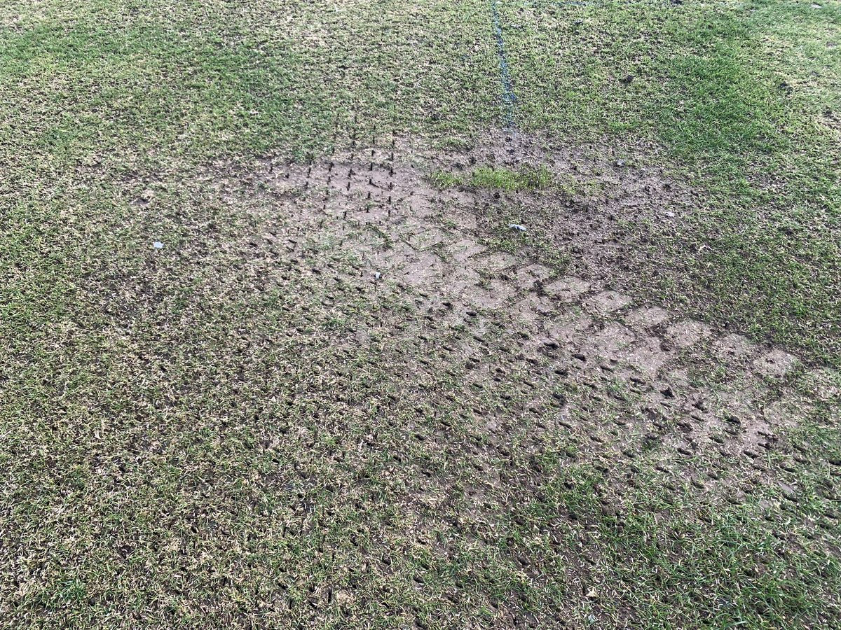 Paul Jackson ๐บ๐ฆ (@paulj5168) on Twitter photo Beginning of the 2025 season here <a href="/TynemouthCC/">Tynemouth CC</a>
โฆ..
<a href="/BarenbrugGroup/">Barenbrug</a> BAR Extreme once again the seed of choice โฆ.
And drilling in nicely ahead of <a href="/Turfcare_HQ/">Turfcare Specialists Limited</a> topdressing with <a href="/BinderLoams/">Binder Loams</a> super Surrey Beginning of the 2025 season here <a href="/TynemouthCC/">Tynemouth CC</a>
โฆ..
<a href="/BarenbrugGroup/">Barenbrug</a> BAR Extreme once again the seed of choice โฆ.
And drilling in nicely ahead of <a href="/Turfcare_HQ/">Turfcare Specialists Limited</a> topdressing with <a href="/BinderLoams/">Binder Loams</a> super Surrey