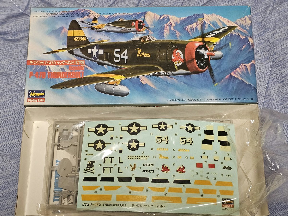 runchickens_3's tweet photo. ヤフオク!で何気にポチっとしたら落札してたサンボルが届いてた(^^;
孵化容器のメダカも今朝から更に孵化して1ダースほどに増殖(゜_゜;)
#メダカ
#ハセガワ
#P47D
#中古キットLOVE https://t.co/MNwhZ6eGoV