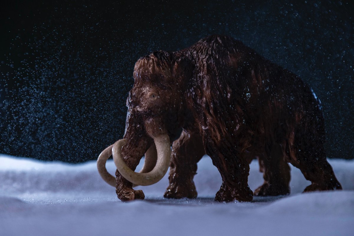 Evo_DS (@evo__ds) on Twitter photo 