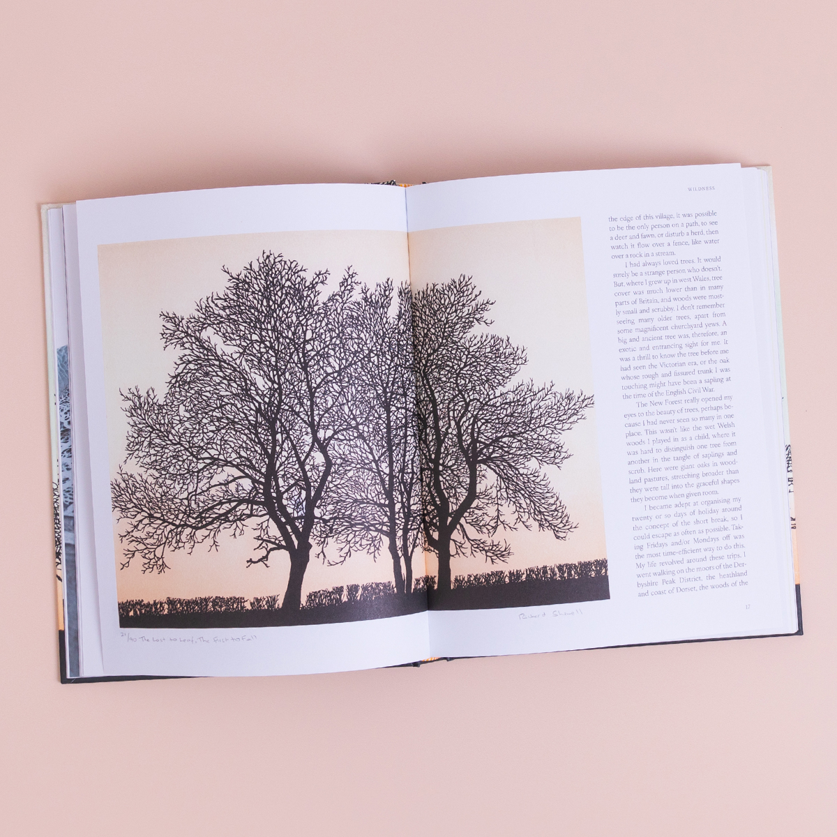 LittleBrownUK's tweet photo. 🧣 'A wonderfully honest, evocative, inspiring book about a life transformed and enriched by nature and by art.' SARAH WATERS

#TreesinWinter by @shimellprints publishes on the 24th October.  Take a look inside... 

Pre-order now: https://t.co/DJbBbC3EOi https://t.co/wt8o1ELyqa