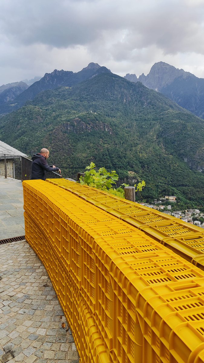 Here we are in #Valchiavenna, Lombardy, in the cellar of 𝙛𝙖𝙢𝙞𝙜𝙡𝙞𝙖 𝙃𝙚𝙧𝙢𝙖𝙪. From the #amphorae of 𝘼𝙧𝙩𝙚𝙣𝙤𝙫𝙖, the #amphora wine of Maurizio Hermau is concieved #terracotta #wine  <a href="/oray_wine/">oray_wine</a> @EricaAndersonV <a href="/lapprentisommel/">lapprentisommelier</a>