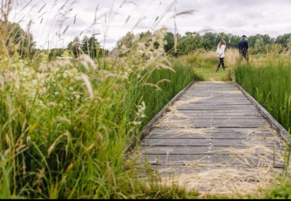 Laatste nieuws! Fracties in Gemeente Groningen hebben het initiatiefvoorstel: Geef de natuur een stem gepresenteerd!

Lees meer over dit #RechtenvandeNatuur voorstel van D66, GroenLinks en Partij voor de Dieren: lnkd.in/eZZNzmph