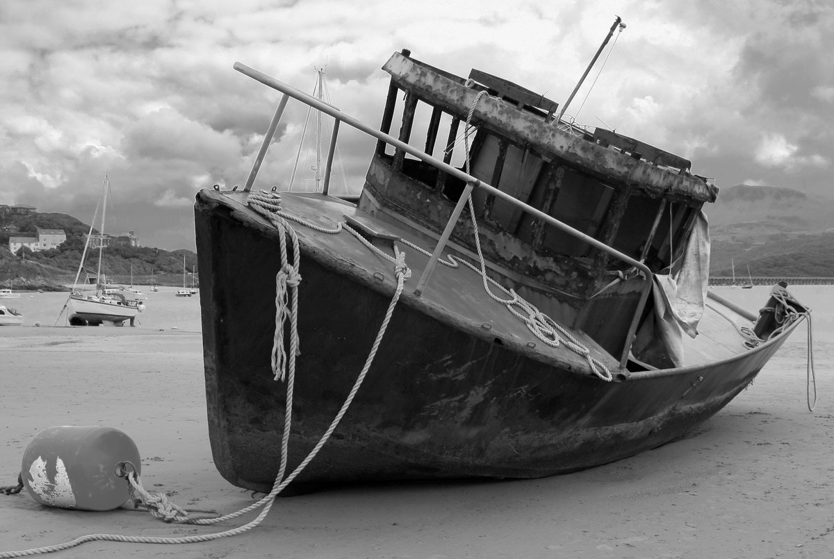 Walter Tovers tweet media