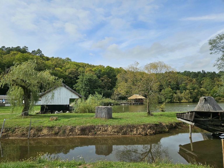 RJonTourUK's tweet image. I am working through my #travelblog drafts after getting a backlog from too much travel.

My latest posts...

rjontour.com/news/ #travelwithdogs #blogginglife